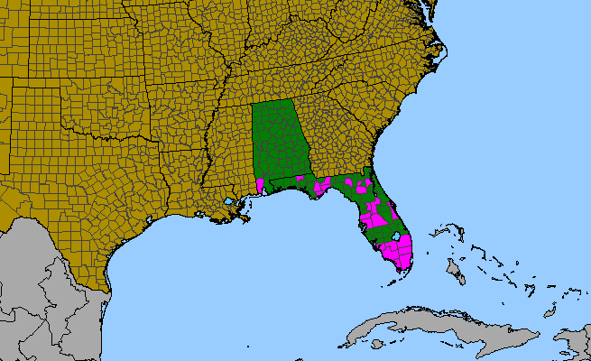 The range of Ipomoea triloba